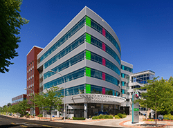 rubinstein-visual-200x200-toy-library