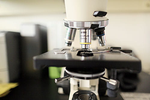 The Diagnostic Center for Heritable Immunodeficiencies (DCHI) at Cincinnati Children’s is the largest and most specialized center in North America for the diagnosis of rare primary immunodeficiencies, bone marrow failure syndromes and other disorders of the immune system. 