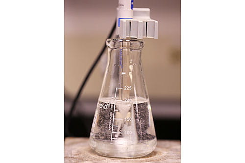 The Diagnostic Center for Heritable Immunodeficiencies (DCHI) at Cincinnati Children’s is the largest and most specialized center in North America for the diagnosis of rare primary immunodeficiencies, bone marrow failure syndromes and other disorders of the immune system. 