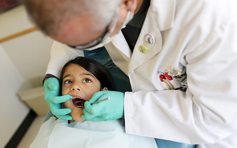 Support the Division of Pediatric Dentistry and Orthodontics