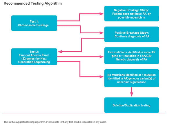 Fanconi Anemia Algorithm