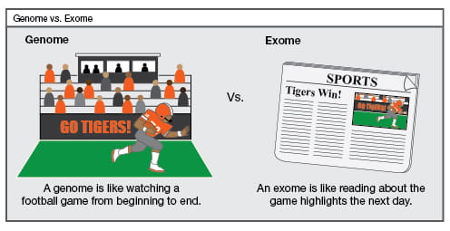 Genome vs. Exome.