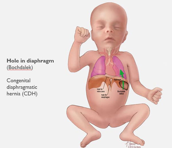 Click to view larger image.