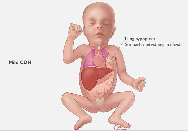 Click to view larger image.