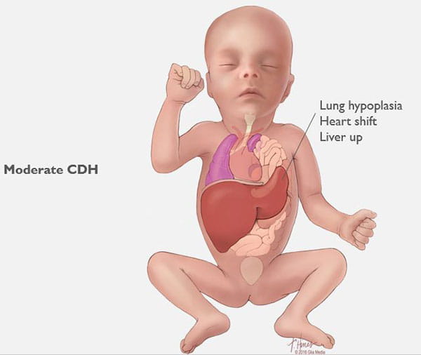 Click to view larger image.