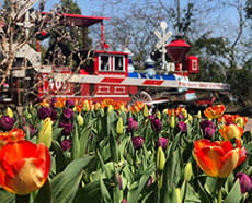 Train and flowers.