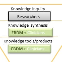 Evidence implementation process for REACH.