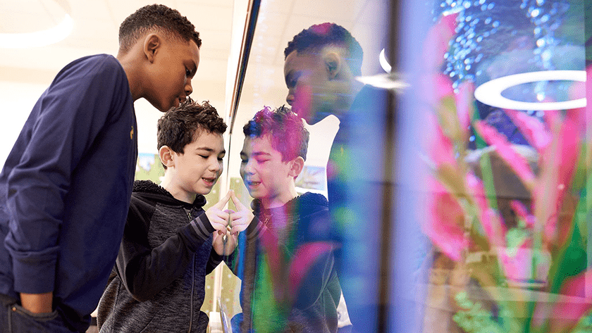 Two kids looking at fish in a fish tank.