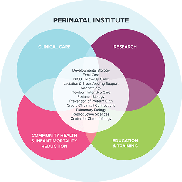 Perinatal Institute Graphic