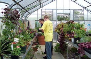 Horticulture therapy offers the opportunity to grow and care for our campus gardens. Our youth engage in a variety of activities that include planting, pruning, mulching and harvesting crops. The focus is to improve cooperation, social skills, self-worth and concentration.