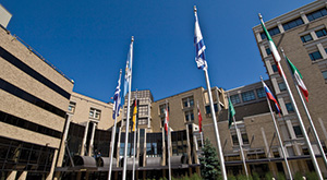 flags