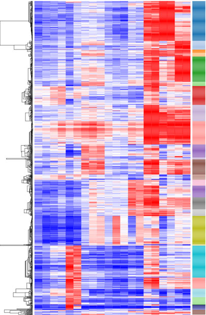 Residential Cell scRNA seq Wen - Wen Residential Cell Heat Map 400x 