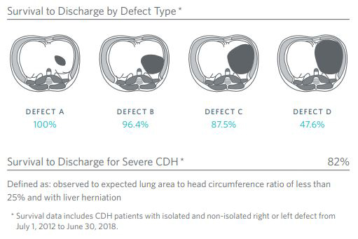 Congenital Diaphragmatic Hernia (CDH) | Fetal Diagnosis & Repair ...