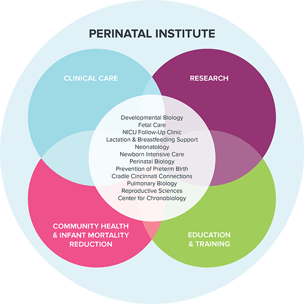Why do current fetal growth charts risk misclassifying babies? Why do current fetal growth charts risk misclassifying babies?
