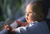 Babies are sensitive to lead, even at very low levels.