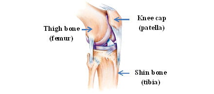 Patella-femoral image.