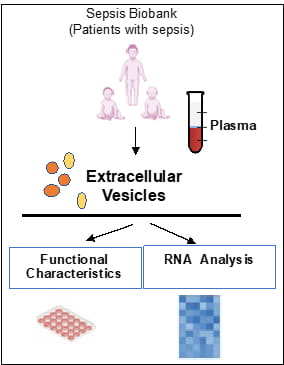 Image of sepsis biobank.